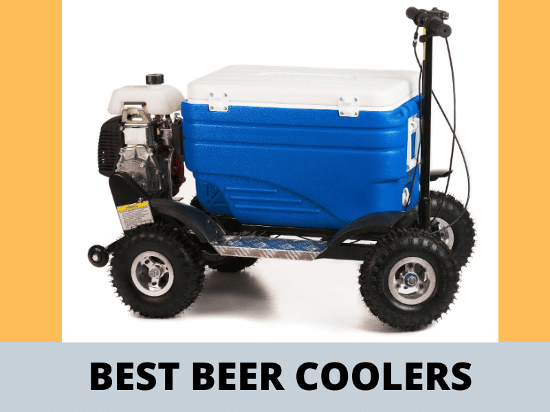 Best Beer Coolers