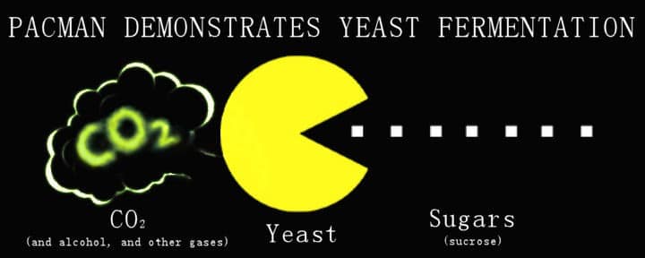 yeast process for ipa