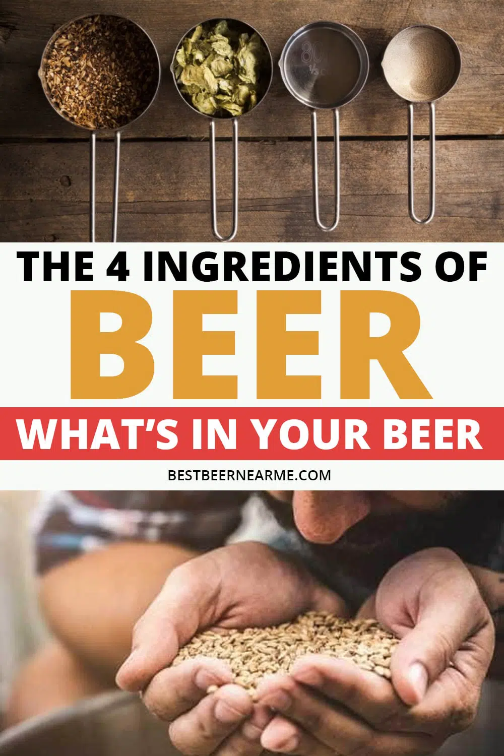 the-4-ingredients-in-beer-what-is-in-your-beer-best-beer-near-me