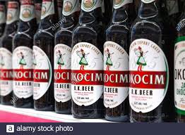 polish beer