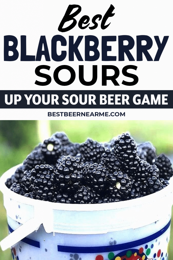 Best-Blackberry-Sours