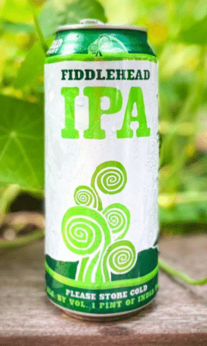 Best Beers Burlington - Fiddlehead IPA