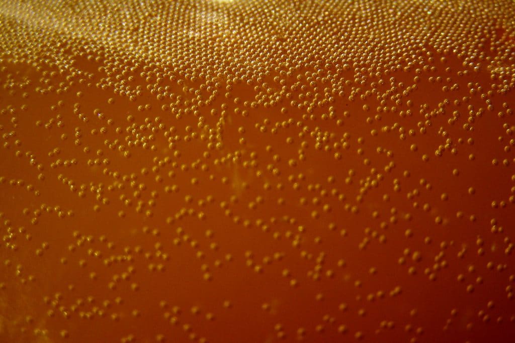 yeast fermentation