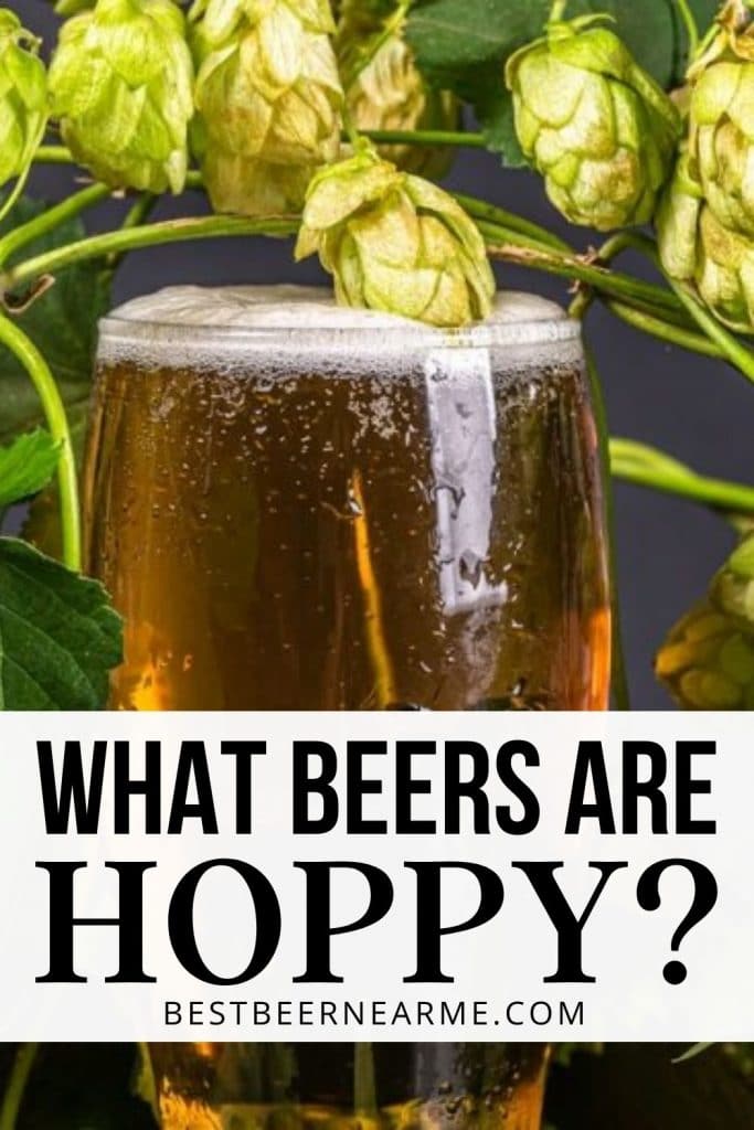 What Beers are Hoppy