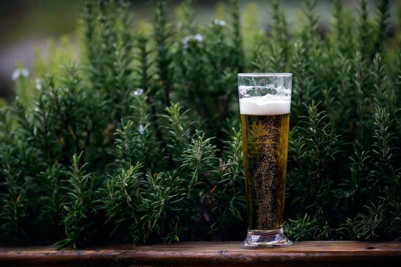 Peruvian Beer