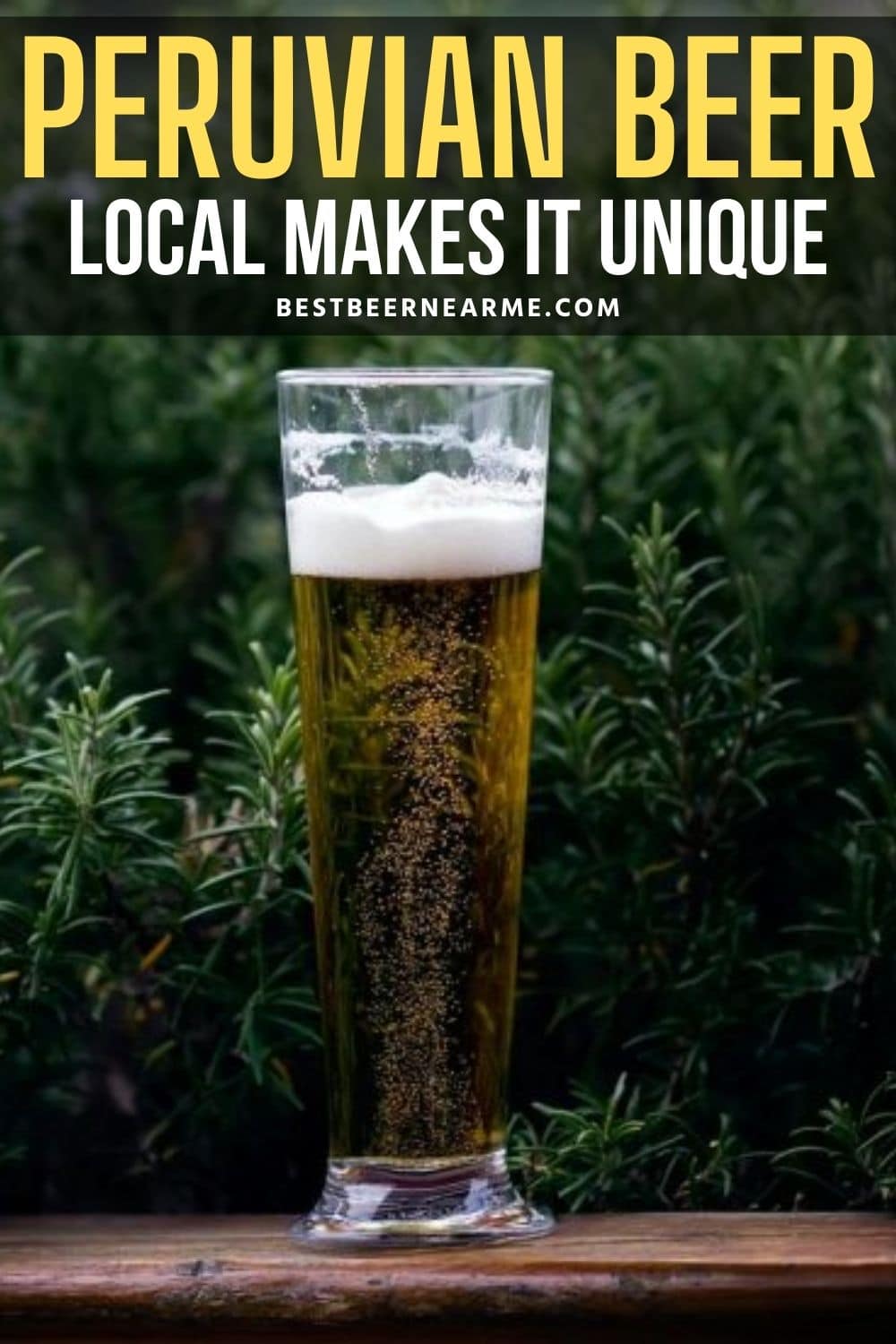 Peruvian Beer – Local Makes it Unique