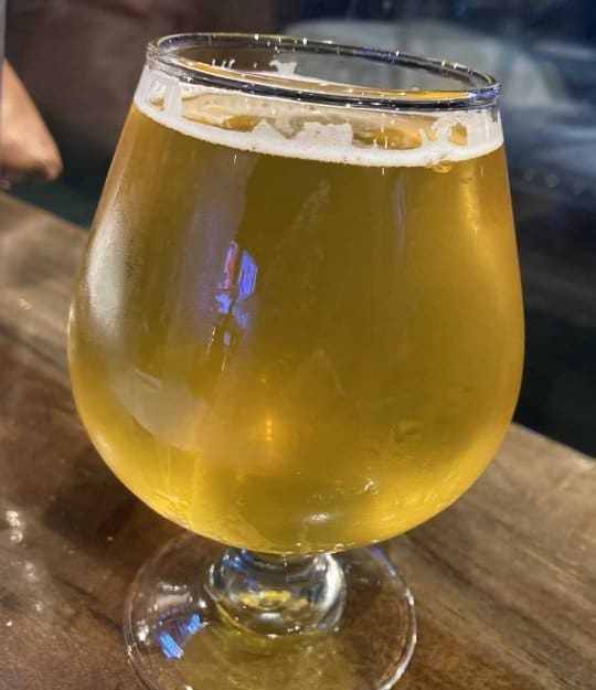 Sour Monkey Beer