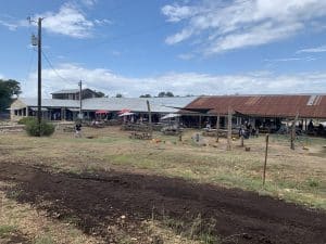 jester king farm